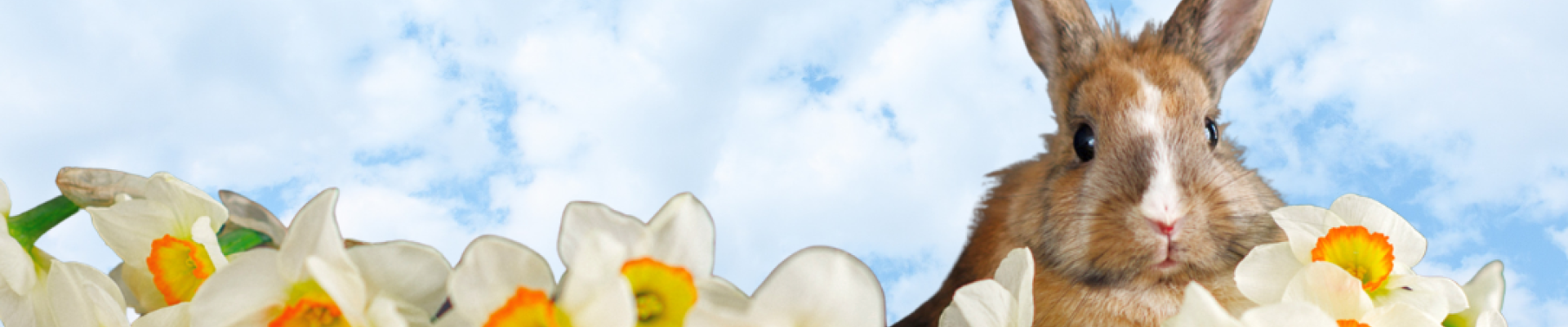 Cum sarbatorim un Paste fericit acasa?