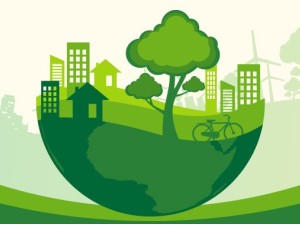 De ce sa folosim produse ecologice?